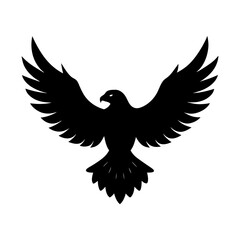 Obraz premium Majestic eagle soaring wingspan predator bird avian silhouette