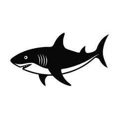 Fototapeta premium shark vector illustration
