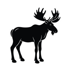 moose vector illustration