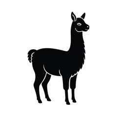 vector illustration of a llama