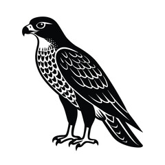 Fototapeta premium hawk bird vector illustration