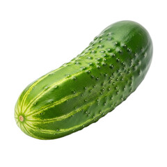 A single fresh green cucumber with a bumpy warty texture and pale stripes. PNG Transparent
