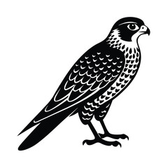 Fototapeta premium vector illustration of a falcon bird