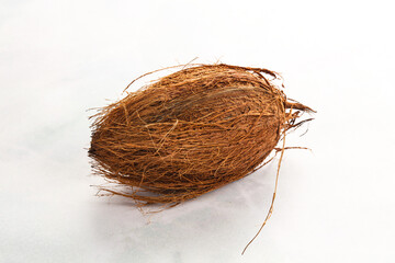 Natural exotic brown hairy coconut