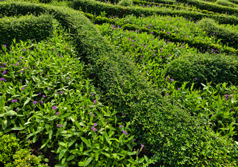 A beautiful garden that is filled with numerous bushes and trees