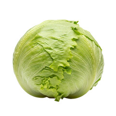 Fototapeta premium Fresh round head of crisp iceberg lettuce with pale green veined leaves. PNG Transparent