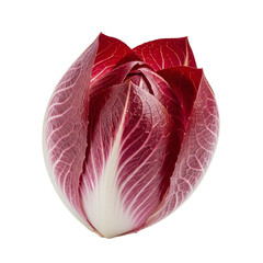 Obraz premium Single fresh radicchio head with vibrant deep red leaves and prominent white veins forming a tight pointed bulb. PNG Transparent