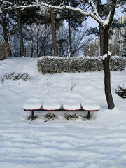 공원 벤치 위에 소복이 쌓인 하얀 눈
