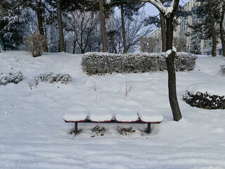 공원 벤치 위에 소복이 쌓인 하얀 눈
