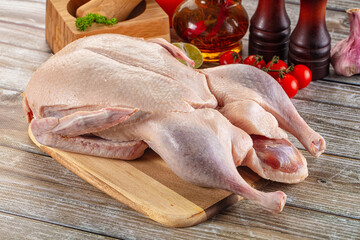 Fresh raw whole duck for cooking © Andrei Starostin