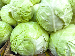 Cabbage heads are stacked on top of each other on a table