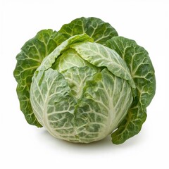 Fresh whole green cabbage with crisp leaves isolated on white background for organic produce, healthy cooking, and nutrition concepts