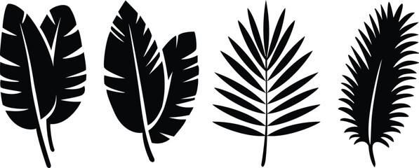 Obraz premium Tropical Leaf Silhouette Design