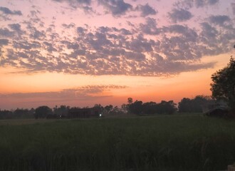 Evening sunset with beautiful clouds and orange sky