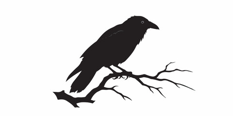 Obraz premium Striking vector silhouette of a crow perched on a branch, rendered in solid black with clean, sharp outlines