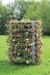 Beautiful multi-level flower bed. Russia.