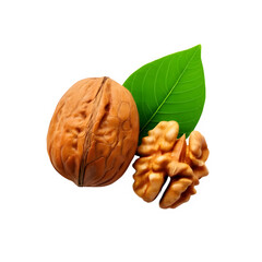 Whole and sliced walnut on transparent background