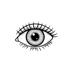 Eye Front View with Detailed Iris for Medical Anatomy