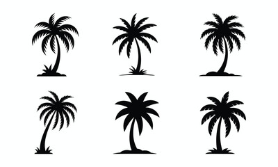 Fototapeta premium Collection of six stylized black silhouettes of palm trees on a white background
