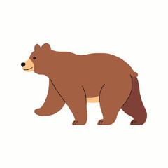 brown bear vector