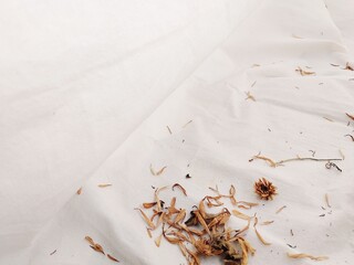 Dried Floral Debris on White Fabric