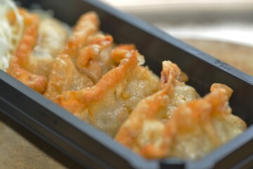 Extreme close-up of pan-fried gyoza texture and pattern