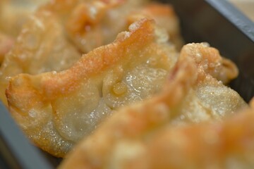 Close-up of Japanese gyoza with crunchy fried bottom