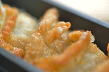 Detailed macro view of freshly cooked gyoza exterior