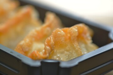 Macro perspective showing gyoza crimped edge details