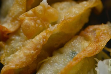 Macro close-up fried gyoza