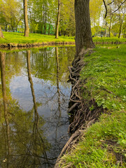 Beautiful summer landscapes in one of the parks in Minsk,