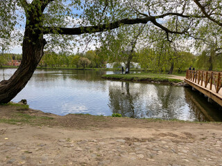 Beautiful summer landscapes in one of the parks in Minsk,