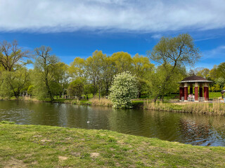 Beautiful summer landscapes in one of the parks in Minsk,