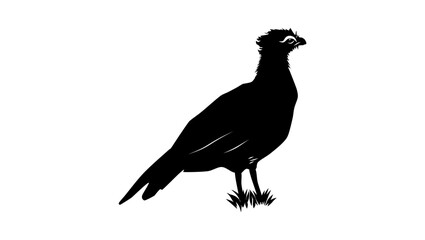Fototapeta premium Nocturnal Curassow bird, black isolated silhouette