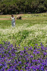 A woman stands in a field of flowers. The field is full of purple flowers and the woman is wearing a white shirt