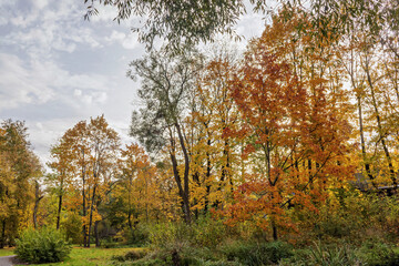 Autumn colors paint the landscape in a tranquil park during a sunny afternoon