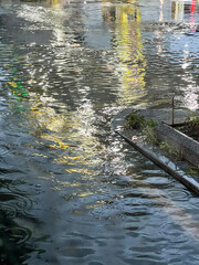 여름 장마철, 빗물에 잠긴 도로와 횡단보도
