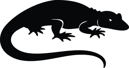 Fototapeta premium Black and White Lizard Silhouette