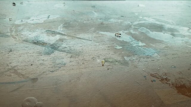 Flies are flying around dirty wooden table