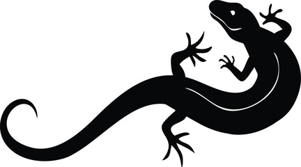 Black and White Lizard Silhouette