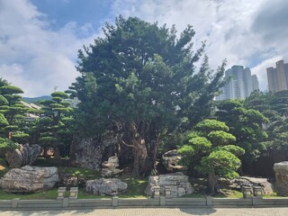 Garden Retreat in the City Center, Hong Kong, China