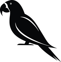 Black and White Parrot Silhouette