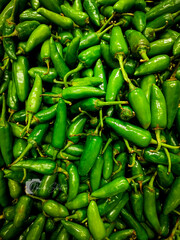 A vibrant close-up of a bounty of fresh, glossy green chilies, showcasing their natural beauty and fiery potential. Perfect for culinary themes, healthy eating, spices, and fresh produce concepts