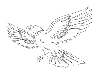 Flying Bird line art with Spread Wings Illustration