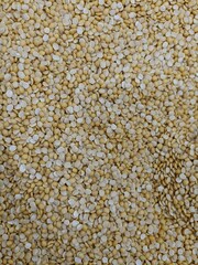 Yellow grains spread across a surface, showcasing a detailed texture and appearance during a food preparation or agricultural moment