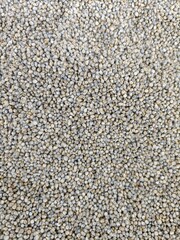 Close-up of small gray seeds collected in a pile, showcasing their texture and detail on a smooth surface in natural light