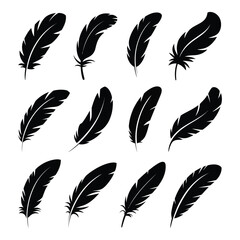 Collection of realistic black bird feathers isolated on white background