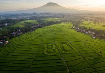 Indonesian rice field with “80” pattern celebrating 80th Independence Day Generate AI