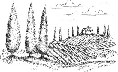 Vineyard landscape field with winery house or farm building in vintage engraved style. Hand drawn monochrome vector illustration.