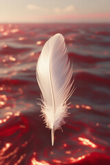 red feather on the beach